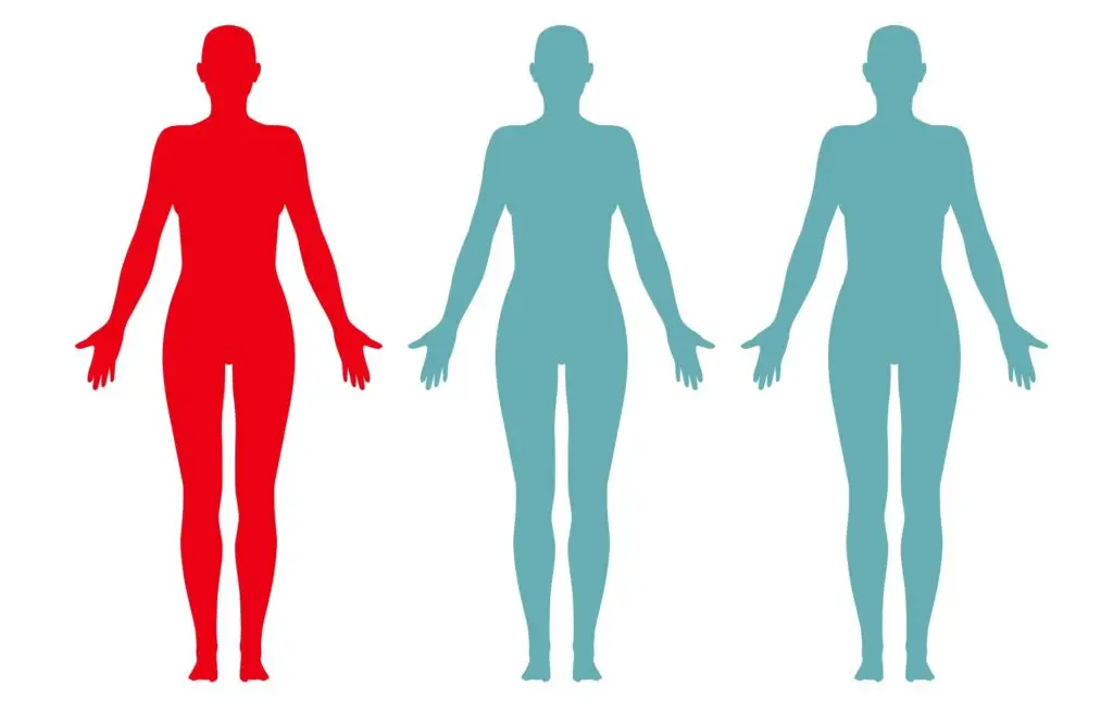 Women with More Social Support Are Less Likely to Die from CVD, New Study Finds