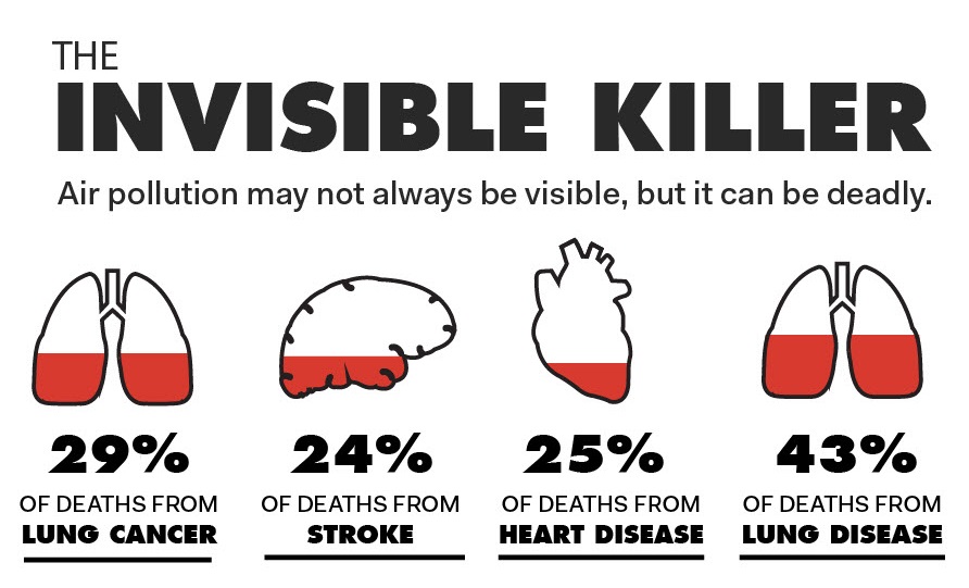 Air pollution and cardiovascular disease: a window of opportunity - World  Heart Federation